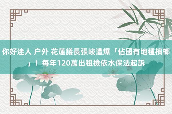 你好迷人 户外 花蓮議長張峻遭爆「佔國有地種檳榔」！每年120萬出租　檢依水保法起訴