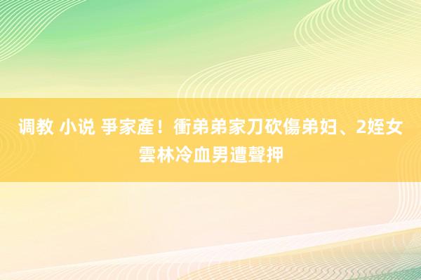 调教 小说 爭家產！衝弟弟家刀砍傷弟妇、2姪女　雲林冷血男遭聲押