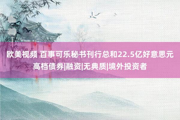 欧美视频 百事可乐秘书刊行总和22.5亿好意思元高档债券|融资|无典质|境外投资者