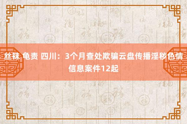丝袜 龟责 四川：3个月查处欺骗云盘传播淫秽色情信息案件12起