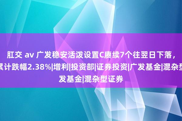 肛交 av 广发稳安活泼设置C赓续7个往翌日下落，区间累计跌幅2.38%|增利|投资部|证券投资|广发基金|混杂型证券