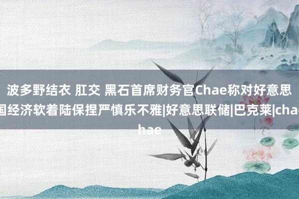 波多野结衣 肛交 黑石首席财务官Chae称对好意思国经济软着陆保捏严慎乐不雅|好意思联储|巴克莱|chae