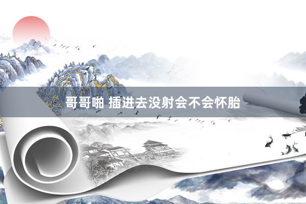 哥哥啪 插进去没射会不会怀胎