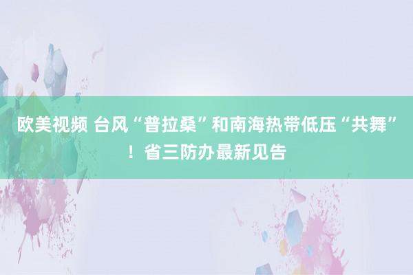欧美视频 台风“普拉桑”和南海热带低压“共舞”！省三防办最新见告