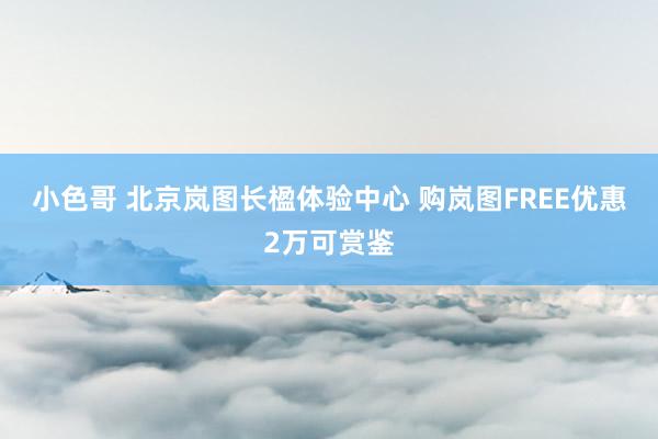 小色哥 北京岚图长楹体验中心 购岚图FREE优惠2万可赏鉴