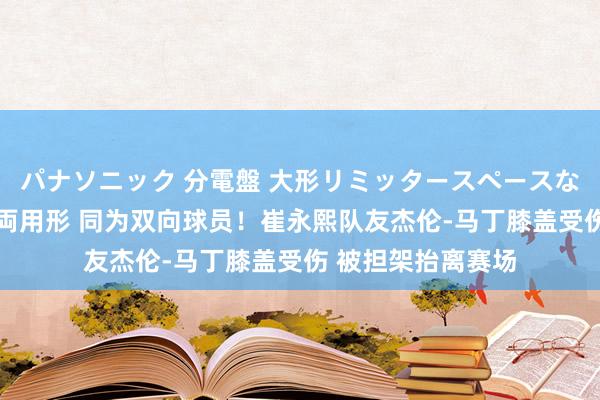パナソニック 分電盤 大形リミッタースペースなし 露出・半埋込両用形 同为双向球员！崔永熙队友杰伦-马丁膝盖受伤 被担架抬离赛场