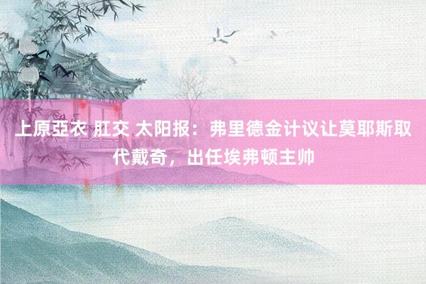 上原亞衣 肛交 太阳报：弗里德金计议让莫耶斯取代戴奇，出任埃弗顿主帅